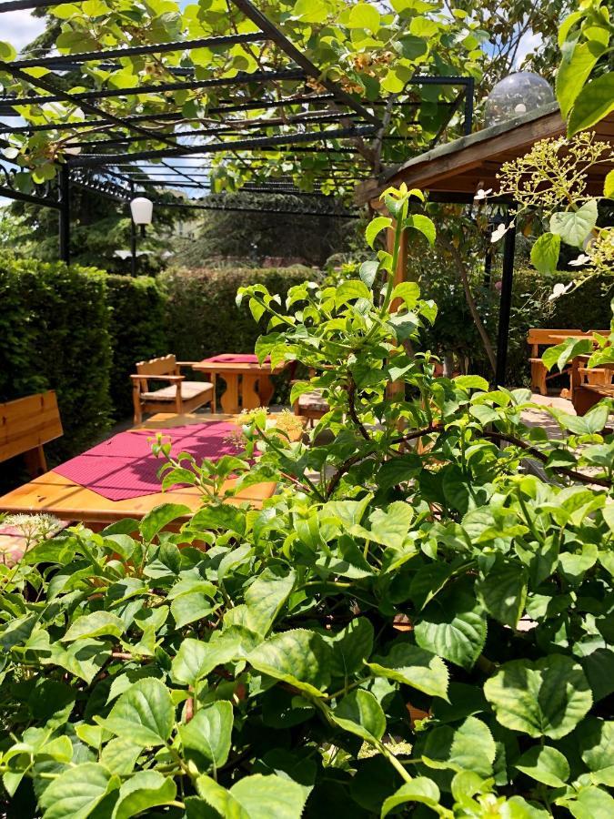 Hotel Jambo Golden Sands Εξωτερικό φωτογραφία